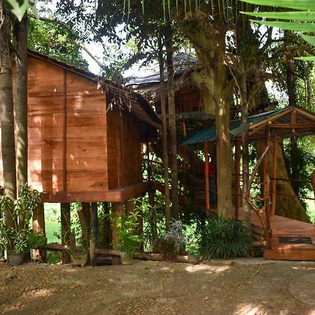 Kumbuk Tree House Villa Тисамахарама Екстериор снимка