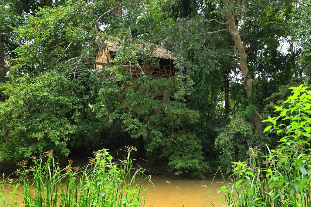 Kumbuk Tree House Villa Тисамахарама Екстериор снимка