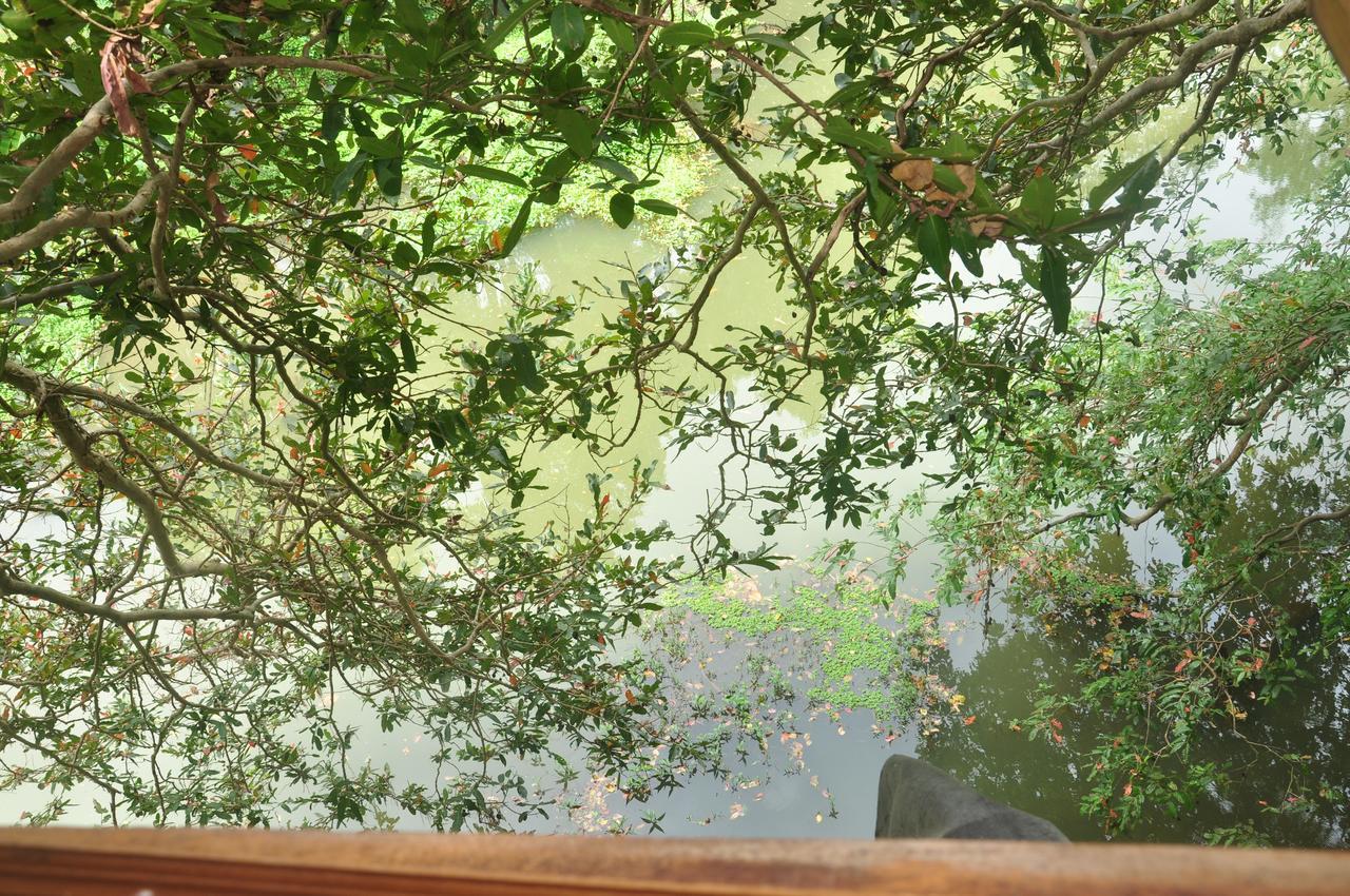 Kumbuk Tree House Villa Тисамахарама Екстериор снимка