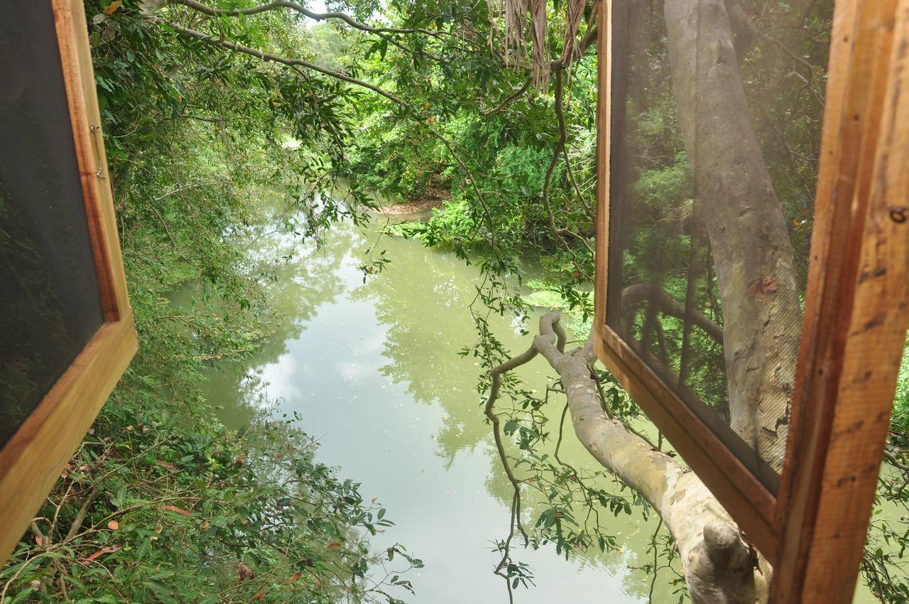 Kumbuk Tree House Villa Тисамахарама Екстериор снимка