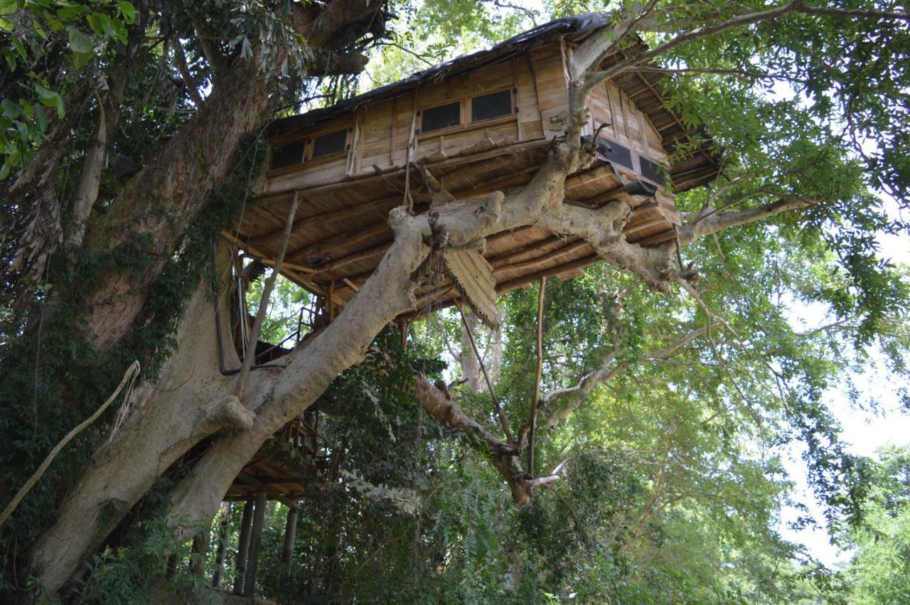 Kumbuk Tree House Villa Тисамахарама Екстериор снимка